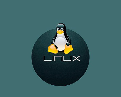 金蝶云星空支持linux吗？