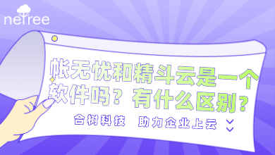 金蝶帐无忧和精斗云云会计是一个软件吗？有什么区别？