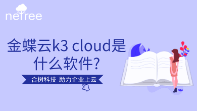 金蝶云k3 cloud是什么软件