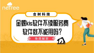 金蝶kis软件不续服务费软件就不能用吗？