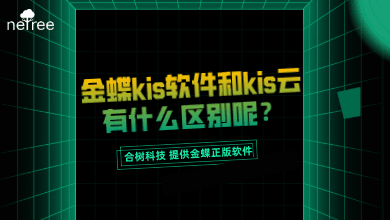 金蝶kis软件和kis云有什么区别呢？