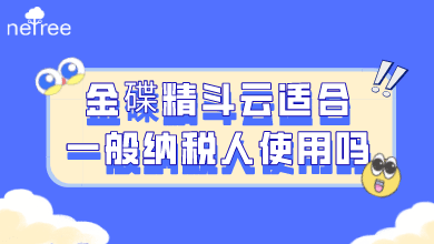 金碟精斗云适合一般纳税人使用吗