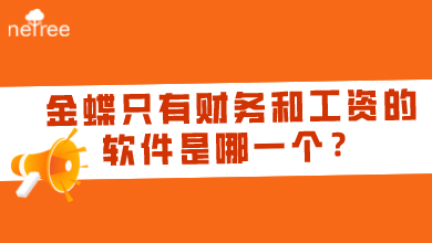 金蝶只有财务和工资的软件是哪一个？