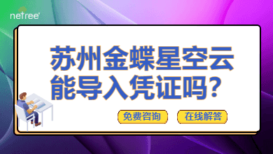 苏州金蝶星空云能导入凭证吗？