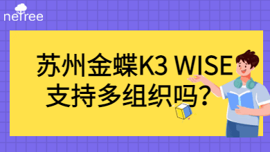 苏州金蝶K3 WISE支持多组织吗