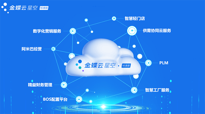 金蝶云星空标准版功能应用